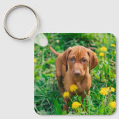 最も可愛い赤ん坊の動物 |ポインタの子犬 キーホルダー (正面)