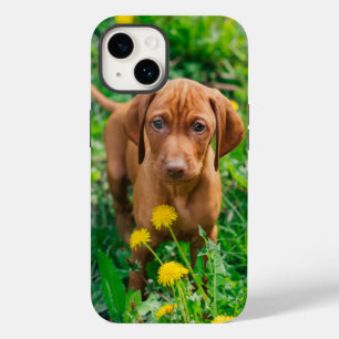 最も可愛い赤ん坊の動物 ポインタの子犬 Case-Mate iPhone 14ケース