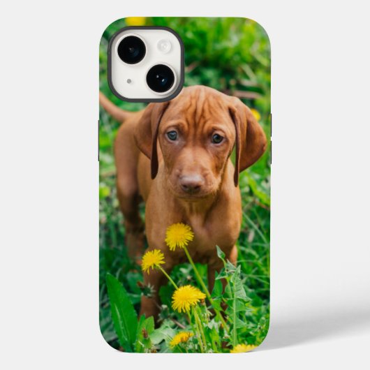 最も可愛い赤ん坊の動物 |ポインタの子犬 Case-Mate iPhoneケース (裏面)