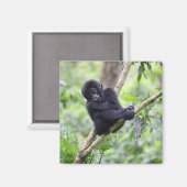 最も可愛い赤ん坊の動物 |マウンテンゴリラベビー マグネット (正面/裏面)