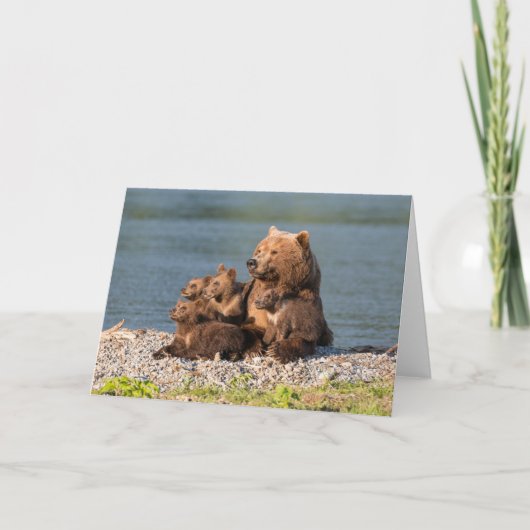 最も可愛い赤ん坊の動物 |マザーベア&カブス カード (正面)