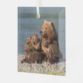 最も可愛い赤ん坊の動物 |マザーベア&カブス ガラスオーナメント (正面左)