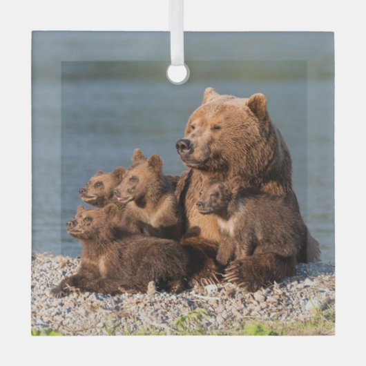 最も可愛い赤ん坊の動物 |マザーベア&カブス ガラスオーナメント (正面)