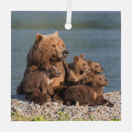 最も可愛い赤ん坊の動物 |マザーベア&カブス ガラスオーナメント (裏面)