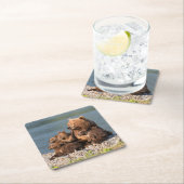 最も可愛い赤ん坊の動物 |マザーベア&カブス スクエアペーパーコースター (インサイチュ)