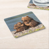 最も可愛い赤ん坊の動物 |マザーベア&カブス スクエアペーパーコースター (アングル)