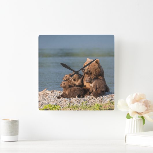 最も可愛い赤ん坊の動物 |マザーベア&カブス スクエア壁時計 (ホーム)