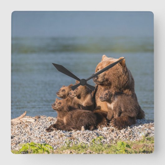 最も可愛い赤ん坊の動物 |マザーベア&カブス スクエア壁時計 (正面)