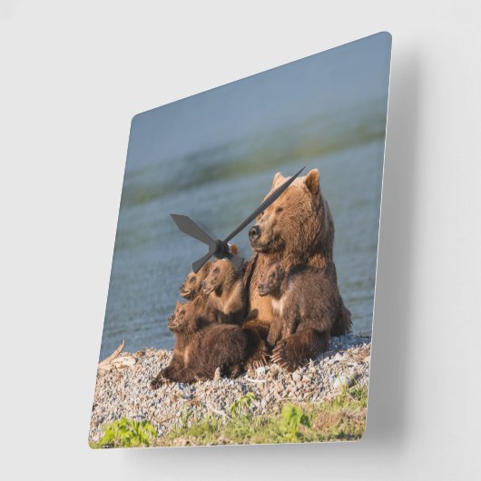 最も可愛い赤ん坊の動物 |マザーベア&カブス スクエア壁時計 (傾斜)