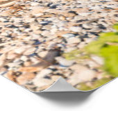 最も可愛い赤ん坊の動物 |マザーベア&カブス ポスター (角)