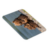 最も可愛い赤ん坊の動物 |マザーベア&カブス マグネット (右側)