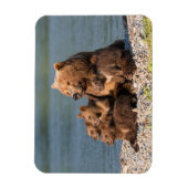 最も可愛い赤ん坊の動物 |マザーベア&カブス マグネット (縦)