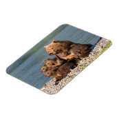 最も可愛い赤ん坊の動物 |マザーベア&カブス マグネット (左側)