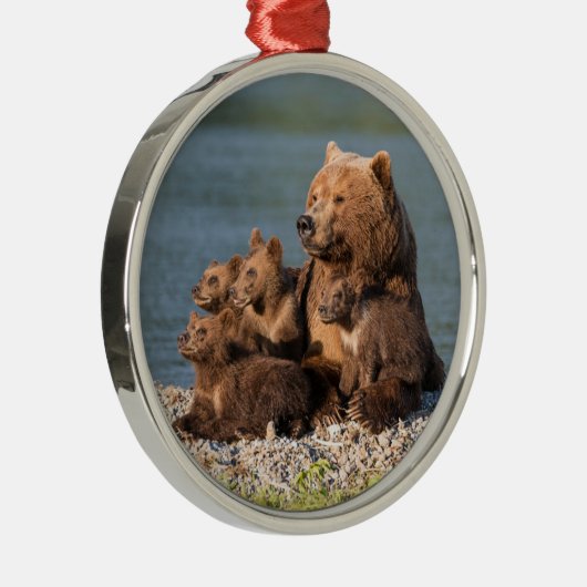 最も可愛い赤ん坊の動物 |マザーベア&カブス メタルオーナメント (右)