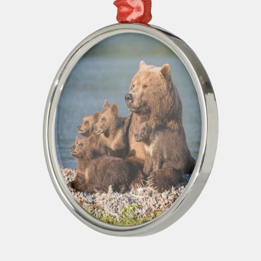 最も可愛い赤ん坊の動物 |マザーベア&カブス メタルオーナメント (左)