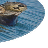 最も可愛い赤ん坊の動物 |マザー&ベビーシーオッター カッティングボード (角)