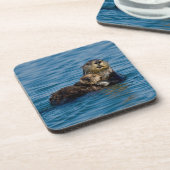 最も可愛い赤ん坊の動物 |マザー&ベビーシーオッター コースター (左側)