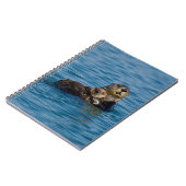 最も可愛い赤ん坊の動物 |マザー&ベビーシーオッター ノートブック (左側)