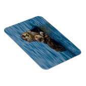 最も可愛い赤ん坊の動物 |マザー&ベビーシーオッター マグネット (右側)