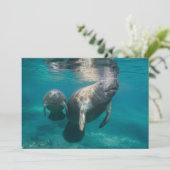 最も可愛い赤ん坊の動物 |マネージャとベビー サンキューカード (スタンド正面)