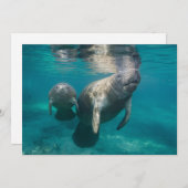 最も可愛い赤ん坊の動物 |マネージャとベビー サンキューカード (正面/裏面)