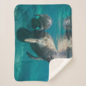 最も可愛い赤ん坊の動物 |マネージャとベビー シェルパブランケット (正面)