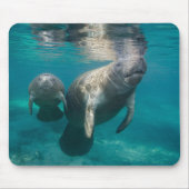 最も可愛い赤ん坊の動物 |マネージャとベビー マウスパッド (正面)