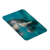 最も可愛い赤ん坊の動物 |マネージャとベビー マグネット (右側)