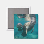 最も可愛い赤ん坊の動物 |マネージャとベビー マグネット (正面/裏面)