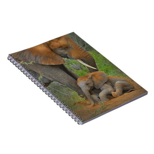 最も可愛い赤ん坊の動物 |ママゾウ&ベビー ノートブック (右側)