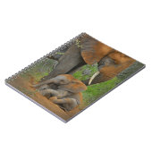 最も可愛い赤ん坊の動物 |ママゾウ&ベビー ノートブック (左側)