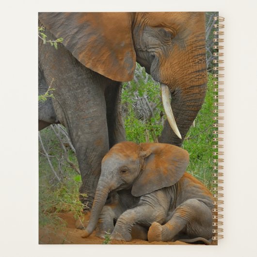 最も可愛い赤ん坊の動物 |ママゾウ&ベビー プランナー手帳 (裏面)