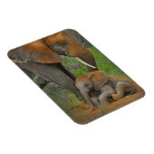 最も可愛い赤ん坊の動物 |ママゾウ&ベビー マグネット (右側)