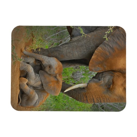 最も可愛い赤ん坊の動物 |ママゾウ&ベビー マグネット (横)