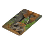 最も可愛い赤ん坊の動物 |ママゾウ&ベビー マグネット (左側)