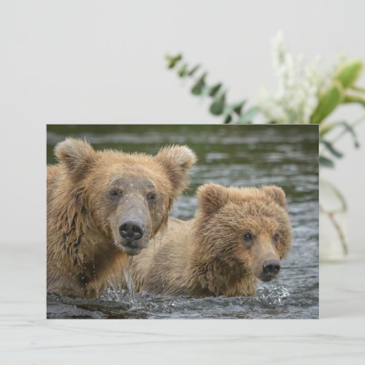 最も可愛い赤ん坊の動物 |ママベア&彼女の子供 サンキューカード (スタンド正面)