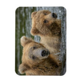 最も可愛い赤ん坊の動物 |ママベア&彼女の子供 マグネット (縦)