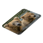 最も可愛い赤ん坊の動物 |ママベア&彼女の子供 マグネット (左側)