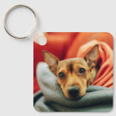 最も可愛い赤ん坊の動物 |ミニチュアピンシャー キーホルダー (正面)
