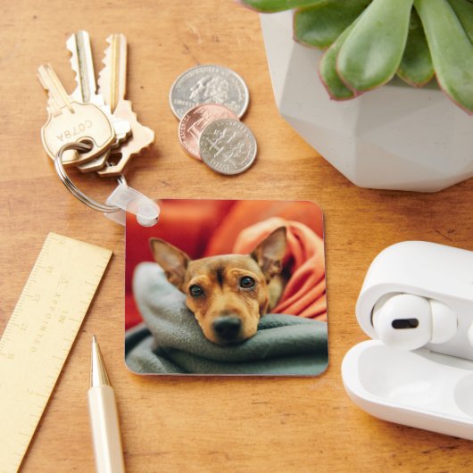 最も可愛い赤ん坊の動物 |ミニチュアピンシャー キーホルダー (デスク)