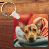 最も可愛い赤ん坊の動物 |ミニチュアピンシャー キーホルダー (正面)
