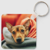 最も可愛い赤ん坊の動物 |ミニチュアピンシャー キーホルダー (裏面)
