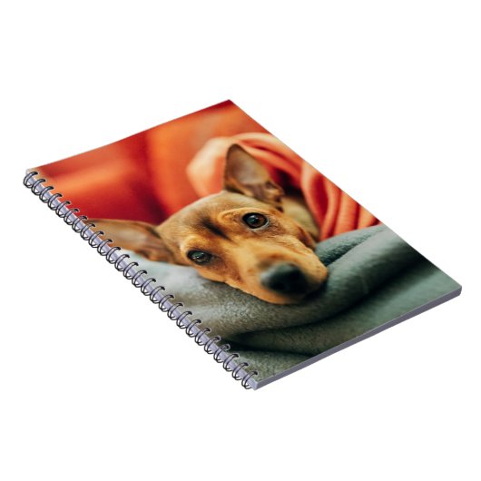 最も可愛い赤ん坊の動物 |ミニチュアピンシャー ノートブック (右側)