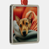 最も可愛い赤ん坊の動物 |ミニチュアピンシャー メタルオーナメント (右)
