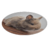 最も可愛い赤ん坊の動物 |ミニベビーバニー カッティングボード (角)