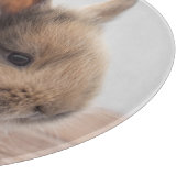 最も可愛い赤ん坊の動物 |ミニベビーバニー カッティングボード (角)