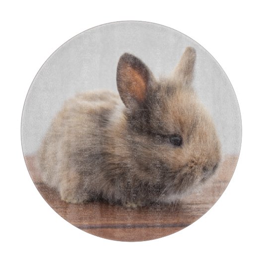 最も可愛い赤ん坊の動物 |ミニベビーバニー カッティングボード (正面)