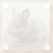 最も可愛い赤ん坊の動物 |ミニベビーバニー ガラスコースター (裏面)