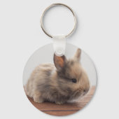 最も可愛い赤ん坊の動物 |ミニベビーバニー キーホルダー (正面)