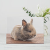 最も可愛い赤ん坊の動物 |ミニベビーバニー サンキューカード (スタンド正面)